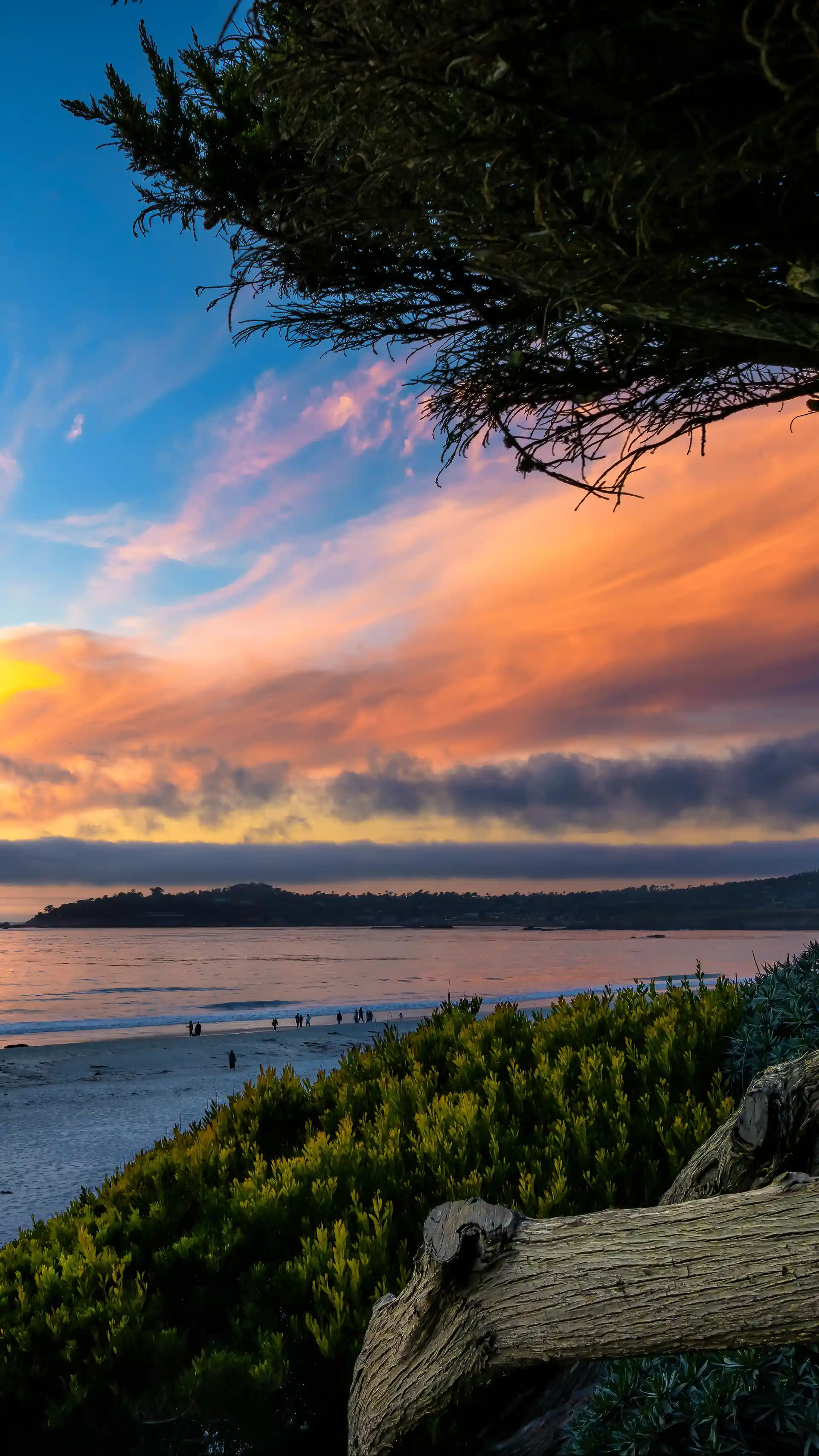 Carmel-by-the-Sea, CA hotels