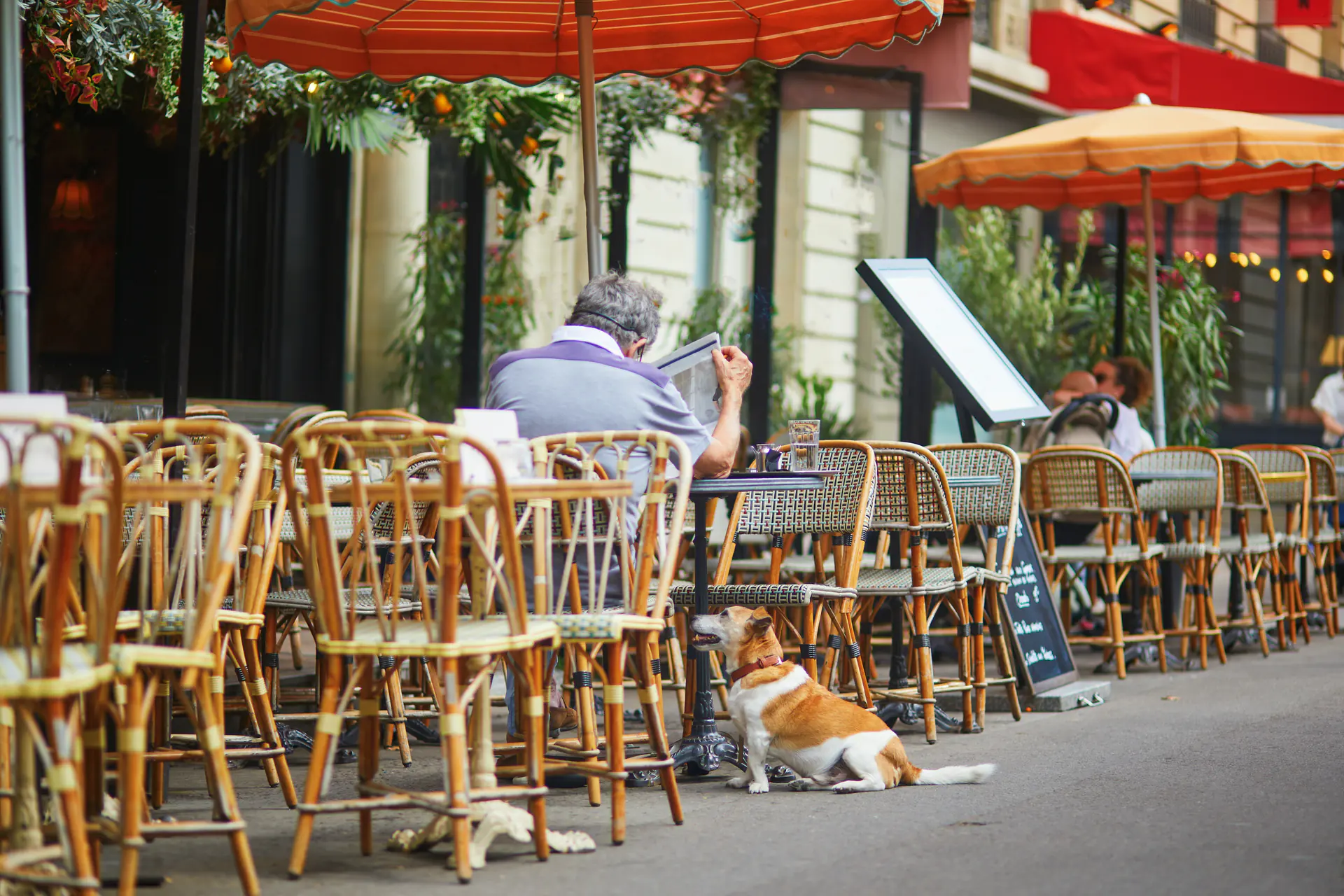 France hotels