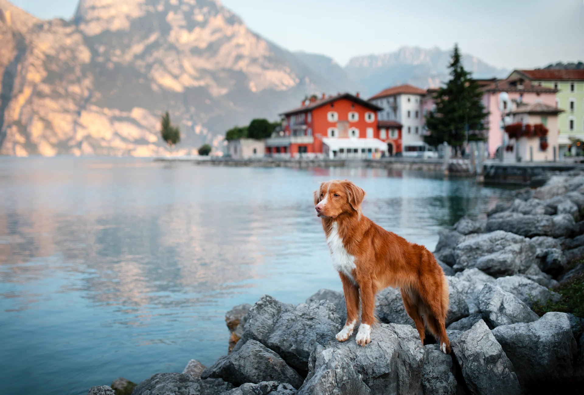 Italy hotels