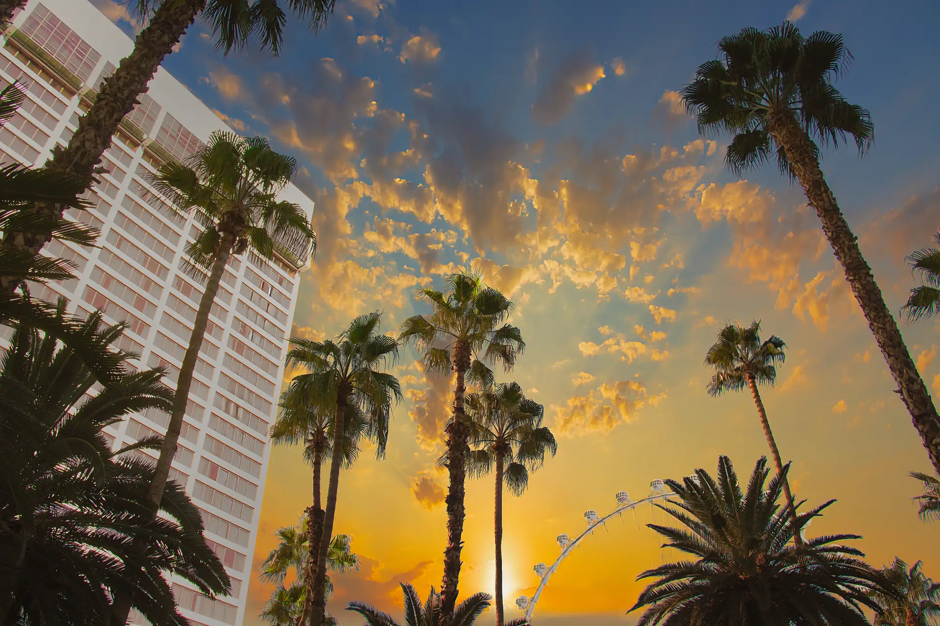 Las Vegas hotels